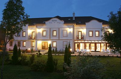 Hotel Villa Vlgy****